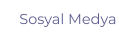 Sosyal Medya